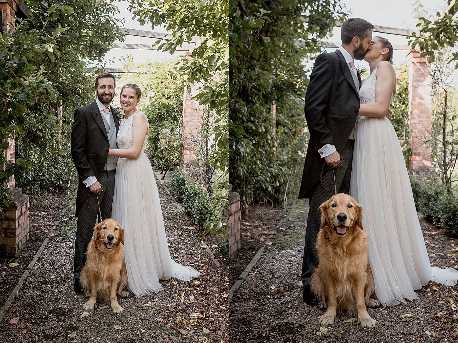 dogs at weddings in cheshire